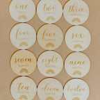 Wooden Milestone Discs